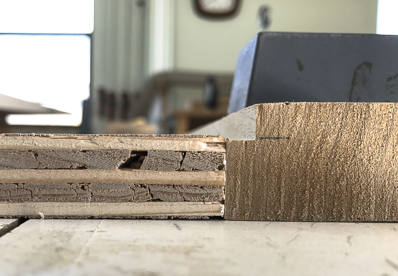 st.francis' broken head